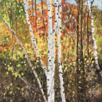 Birch Grove 1 Canvas Reproduction