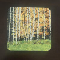 Birch Grove 3 Coaster Set