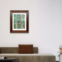 Optimistic Paper Reproduction